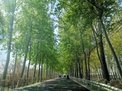 -麦当劳(北京昌金路得来速餐厅店)