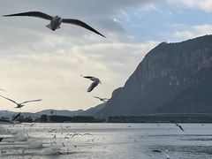 -海埂大坝