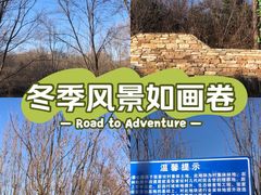 -云岗森林公园