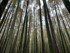 -山王坪喀斯特国家生态公园