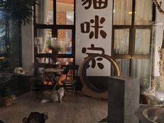 -北京密云天门山风景区