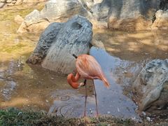-昆明动物园