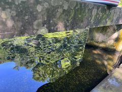-海口火山口国家地质公园