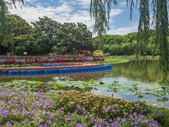 -上海鲜花港