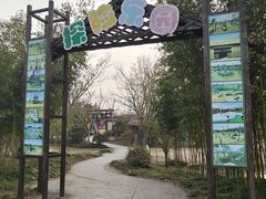 -上海长兴岛郊野公园