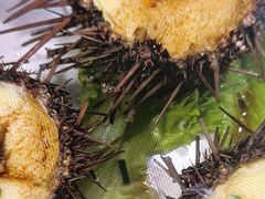 -威海渔村(黄兴路店)