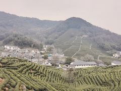 -十里琅珰