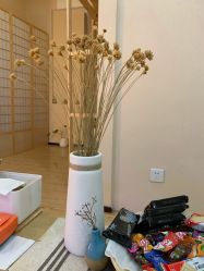 -日本直营PURE专业脱毛中心