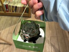 -四季餐厅·新津菜(环湖中路店)