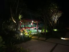 -芽庄MP泰式海鲜海景餐厅