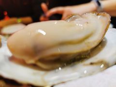 -烧蠔帮·生蚝海鲜牌档(观海店)