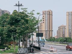 -运河游船(武林门码头)