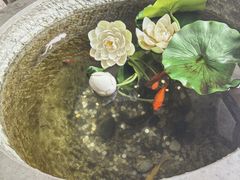 -福照楼汽锅鸡·云南菜(火车站锦江店)
