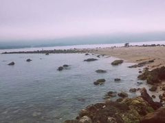 -西涌国际滨海旅游区