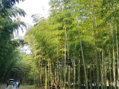 -黄公望隐居地