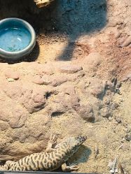 -酷嗒动物文化乐园(cutezoo西溪乐天城店)