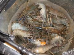 -DGE季风钓虾营地·团建·聚会