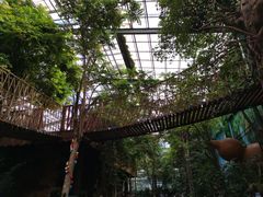 -呀路古热带植物园