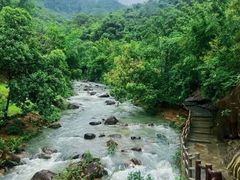 -广州白江湖森林公园