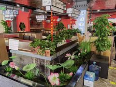 -洞庭家宴·头牌甲鱼(广渠门店)
