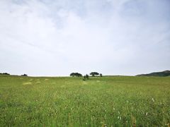 -乌兰布统草原