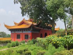 -灵岩山风景区灵岩禅寺