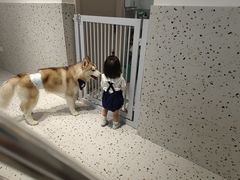-Husky Go!哈士奇体验馆·宠物咖啡厅狗咖