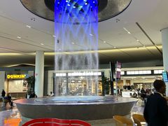 -约翰·菲茨杰拉德·肯尼迪国际机场