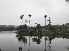 -枫香湖儿童公园