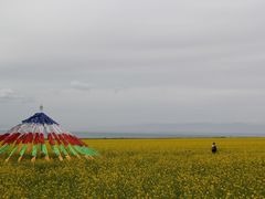 -青海湖国家重点风景名胜区