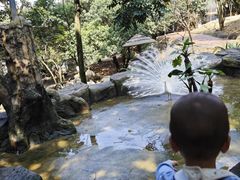 -泉州海丝野生动物世界