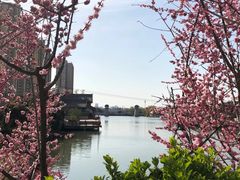 -西安汉城湖景区