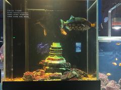 -南昌融创海世界