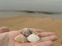 -秦皇岛秦皇国际大酒店