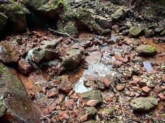 -赤水丹霞旅游区·佛光岩