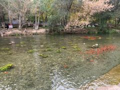 -水磨沟公园