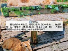 -广州长隆野生动物世界
