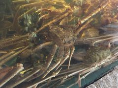 -蟹之国·精品蟹料理(极地店)