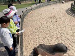 -前小桔亲子创意农场·草莓采摘·露营烧烤