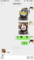 -TIGI英国美发沙龙