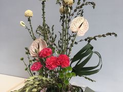 -广州市第二少年宫