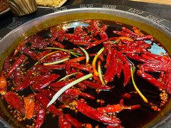 红油锅底-渝大狮毛肚老火锅(普陀店)
