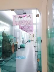 -宝迪之星医疗美容诊所
