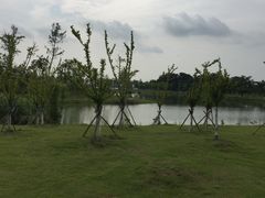 -瑶湖郊野森林公园
