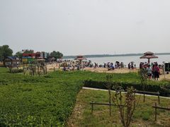 -武清南湖绿博园