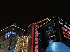 -苏宁广场·城市奥特莱斯(天府立交店)