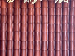 -金锅小厨(乐活街店)