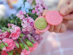 -白塘生态植物园