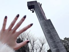 -美丽洲堂
