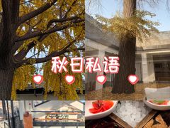 -自如ZSPACE四合院艺术餐厅